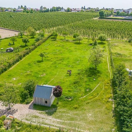Unique Hideaway, Holiday House With Large Garden Kortenaken Esterno foto