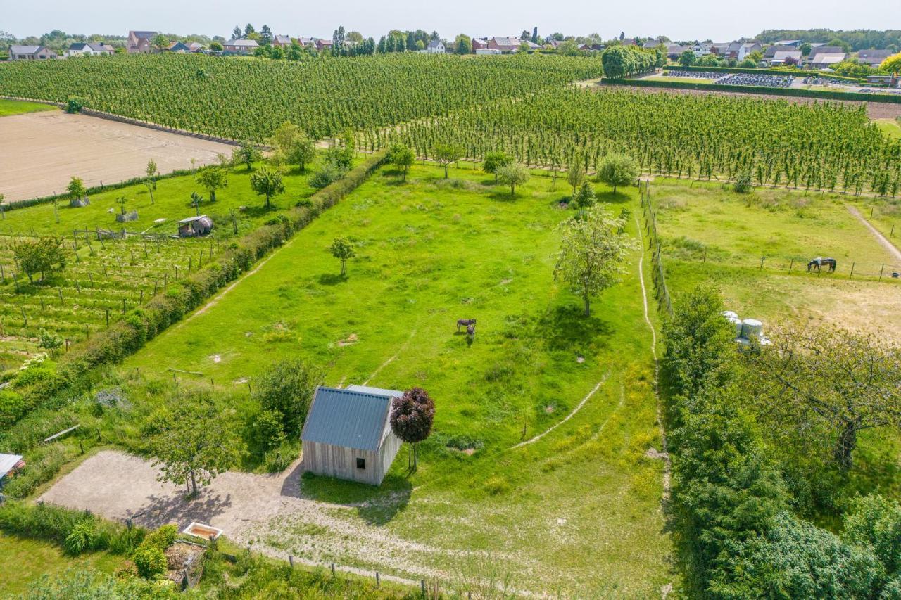 Unique Hideaway, Holiday House With Large Garden Kortenaken Esterno foto